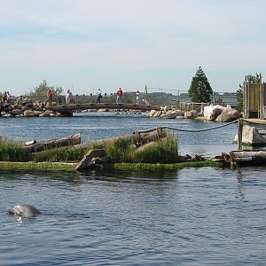 Dolfinarium Harderwijk 2004 - Dolphin Lagoon