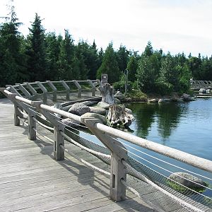 Dolfinarium Harderwijk 2004 - Boardwalk to the California Sea Lions
