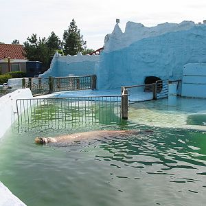 Dolfinarium Harderwijk 2004 - Old walrus exhibit