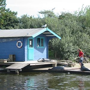 Dolfinarium Harderwijk 2004 - Seal feeding and presentation