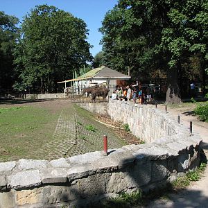 Wroclaw Zoo 2008 - Side-view into the European Wisent paddock