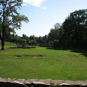 Wroclaw Zoo 2008 - Large ungulate paddock