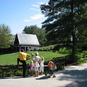 Wroclaw Zoo 2008 - Nilgai paddock