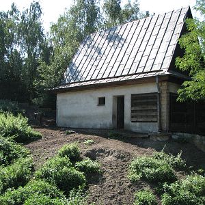 Wroclaw Zoo 2008 - Wildebeest exhibit