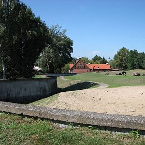 Wroclaw Zoo 2008 - Savannah