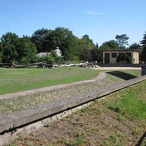 Wroclaw Zoo 2008 - Savannah