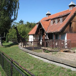 Wroclaw Zoo 2008 - Giraffe House
