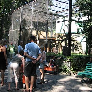 Wroclaw Zoo 2008 - Enclosure for Northern Lynx