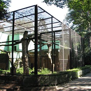 Wroclaw Zoo 2008 - Enclosure for Northern Lynx