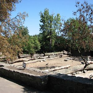 Wroclaw Zoo 2008 - Exhibit for Collared Peccary