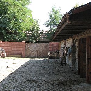 Wroclaw Zoo 2008 - Zebra building
