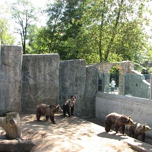 Wroclaw Zoo 2008 - Brown Bear exhibit