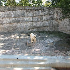 Wroclaw Zoo 2008 - A sad Polar Bear exhibit