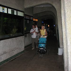 Wroclaw Zoo 2008 - Inside the Aquarium