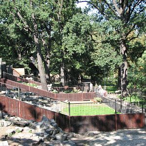Wroclaw Zoo 2008 - Goat exhibits