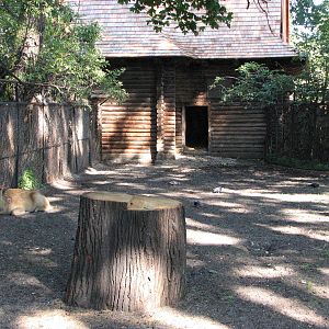 Wroclaw Zoo 2008 - Barasingha enclosure