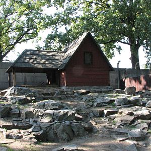 Wroclaw Zoo 2008 - Fine exhibit for Mouflon