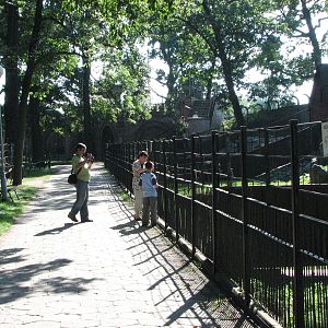 Wroclaw Zoo 2008 - Pathway alongside and fence of the goat exhibits