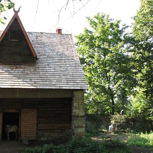 Wroclaw Zoo 2008 - Scimitar-Horned Oryx exhibit