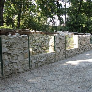 Wroclaw Zoo 2008 - Porcupine enclosure