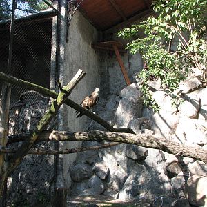 Wroclaw Zoo 2008 - Osprey enclosure