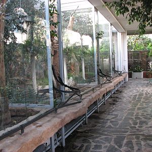 Wroclaw Zoo 2008 - Inside the Bird House