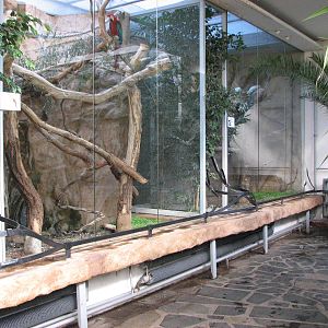 Wroclaw Zoo 2008 - Inside the Bird House