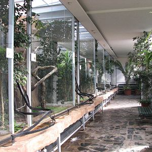 Wroclaw Zoo 2008 - Inside the Bird House