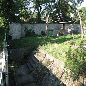 Wroclaw Zoo 2008 - Chimpanzee exhibit