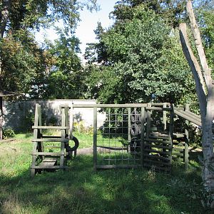 Wroclaw Zoo 2008 - Chimpanzee exhibit
