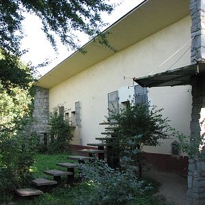 Wroclaw Zoo 2008 - Chimpanzee house