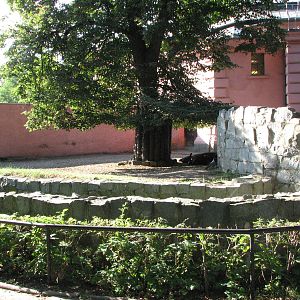 Wroclaw Zoo 2008 - Brazilian Tapir exhibit in the elephant house