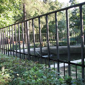 Wroclaw Zoo 2008 - Old hippo exhibit but then for Common Seal