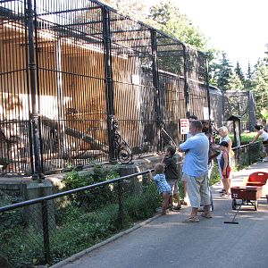 Wroclaw Zoo 2008 - Visitors in front of the Lion House