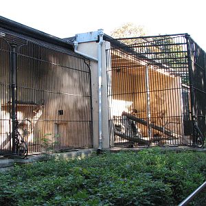 Wroclaw Zoo 2008 - Outside cages of the Lion House
