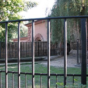 Wroclaw Zoo 2008 - Common Hippopotamus exhibit
