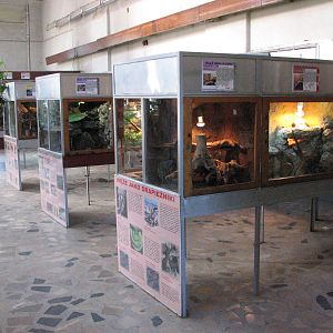 Wroclaw Zoo 2008 - Inside the Reptile House