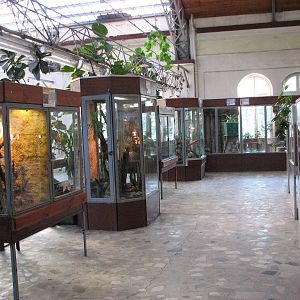 Wroclaw Zoo 2008 - Inside the Reptile House