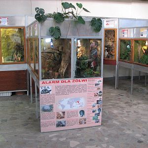 Wroclaw Zoo 2008 - Inside the Reptile House