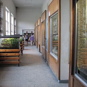 Wroclaw Zoo 2008 - Inside the Reptile House