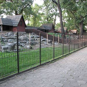 Wroclaw Zoo 2008 - Pathway alongside the goat exhibits