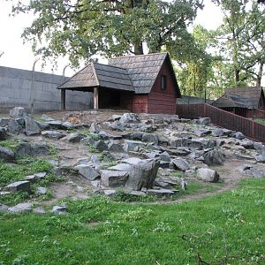 Wroclaw Zoo 2008 - Wild Goat exhibit