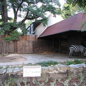 Wroclaw Zoo 2008 - Zebra exhibit