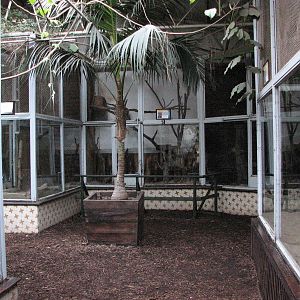 Wroclaw Zoo 2008 - Inside the Nocturnal House