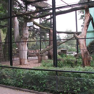 Wroclaw Zoo 2008 - First enclosure for Northern Lynx