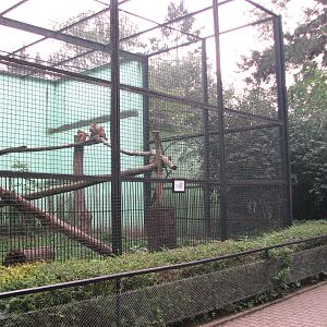 Wroclaw Zoo 2008 - Second enclosure for Northern Lynx