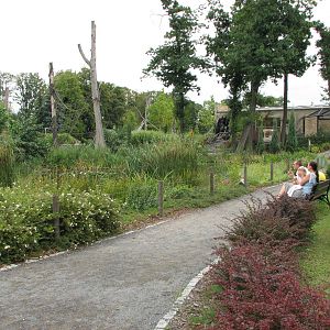 Opole Zoo 2008 - Guests sit and watch the Gibbons