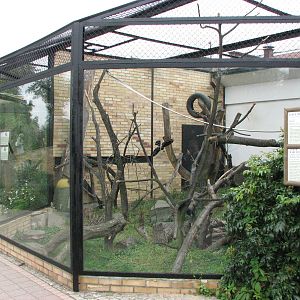 Opole Zoo 2008 - Exhibit for Red Ruffed Lemur