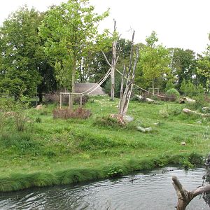 Opole Zoo 2008 - Side of the gorilla exhibit