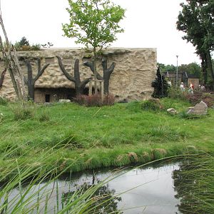 Opole Zoo 2008 - Front of the gorilla exhibit